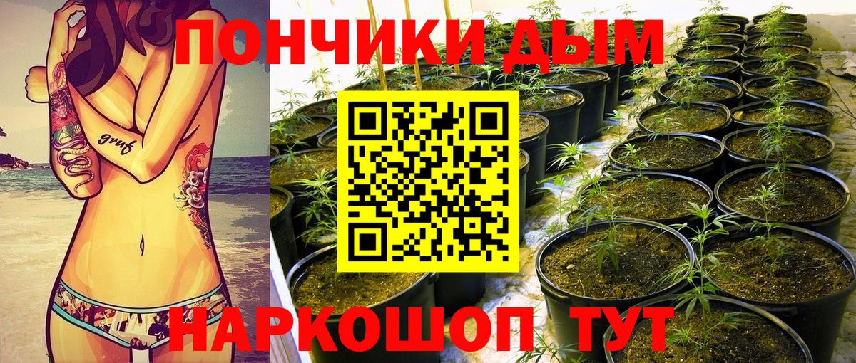 Печора  Бошки марихуана семена  Бошки марихуана OG Kush  Каннабис конопля  Вход с VPN 